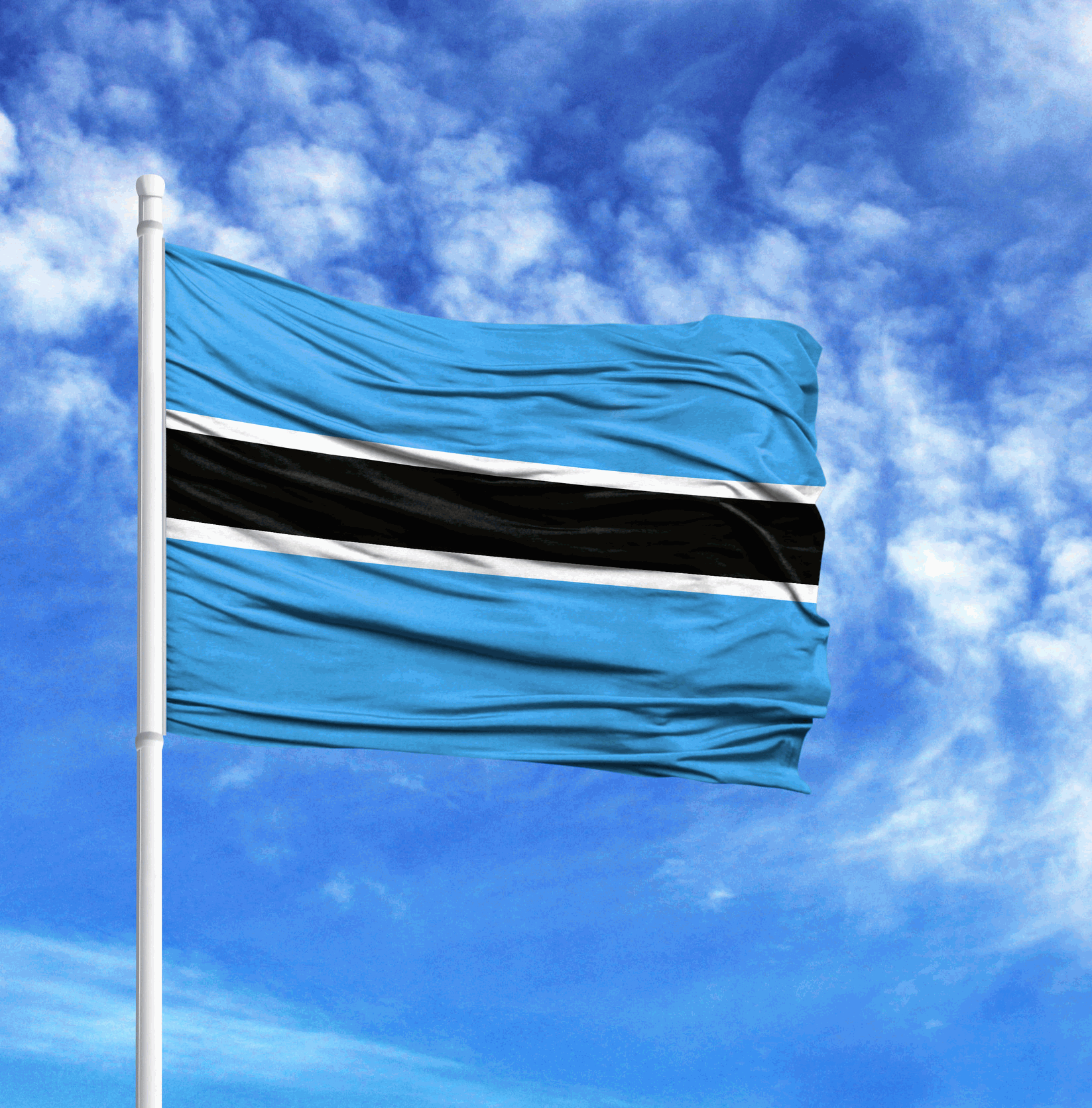 How to Apply for a evisa-eligibility-checkBotswana Visa? 