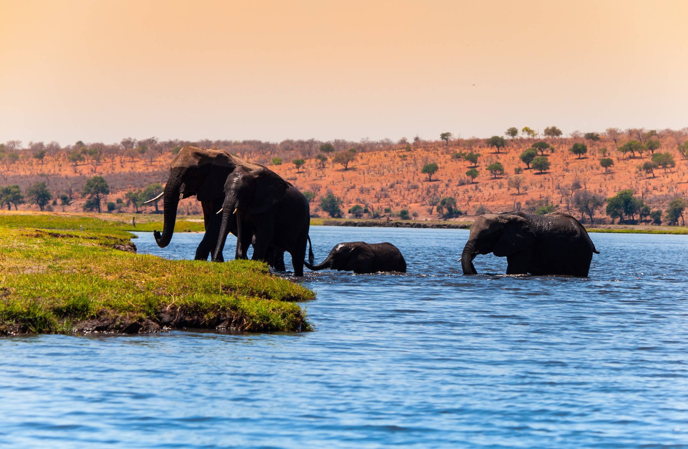 Botswana eVisa for Chinese Citizens