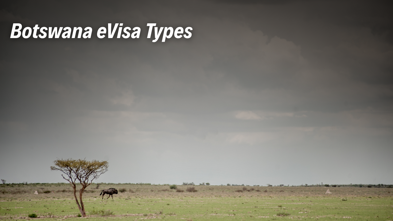 Botswana eVisa Types