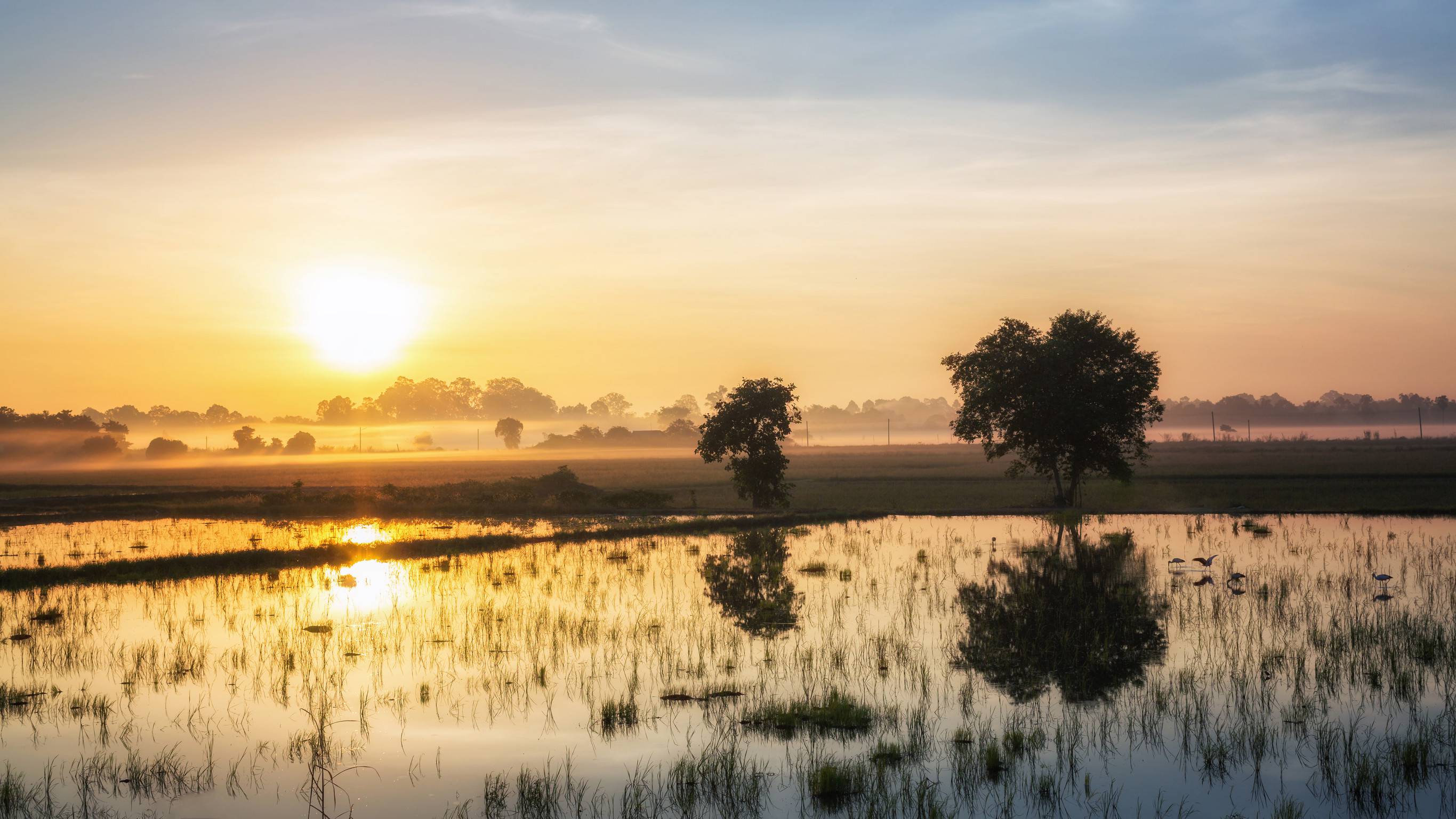 Okavango Delta