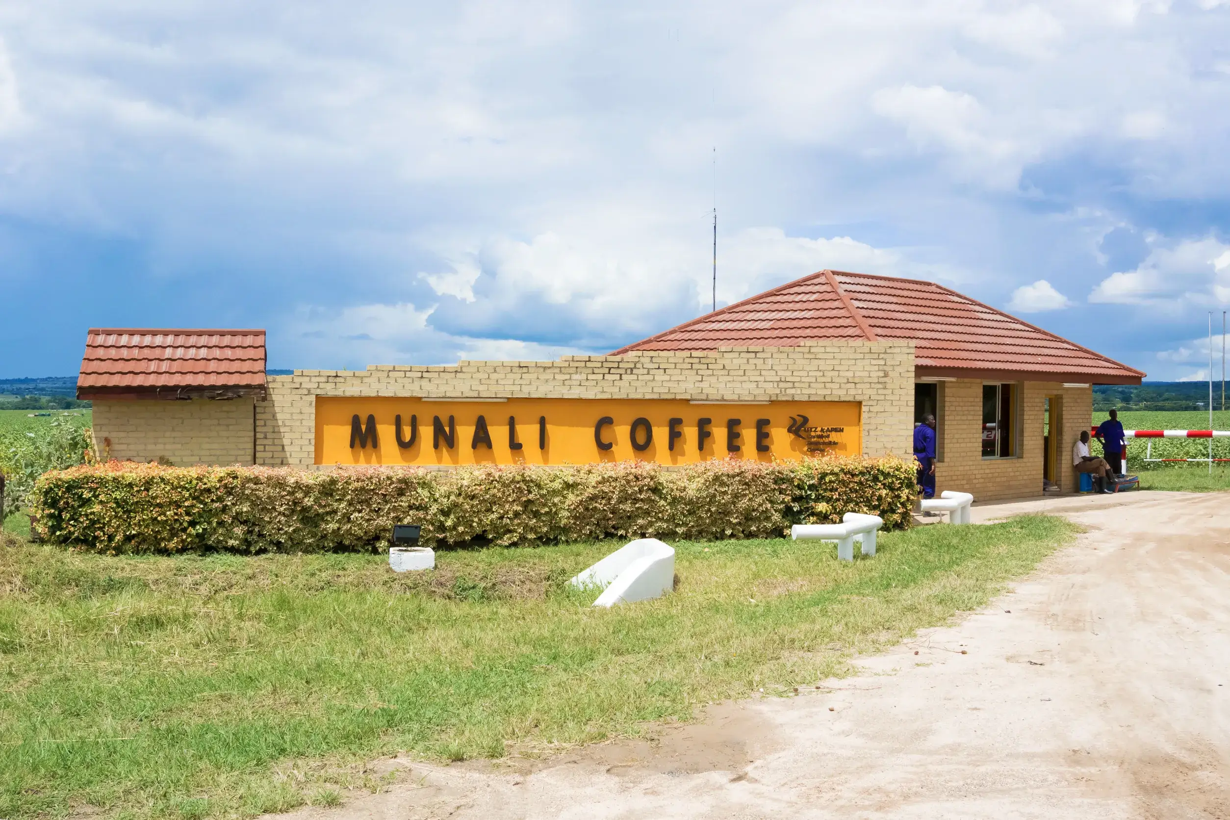 entrance to munali coffee farm near lusaka in zambia