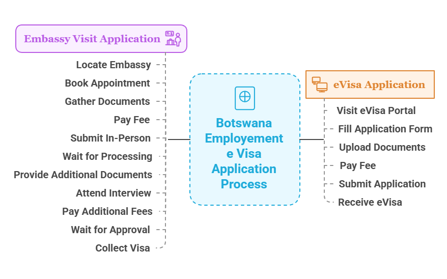 Evisa Vs Embassy Visa