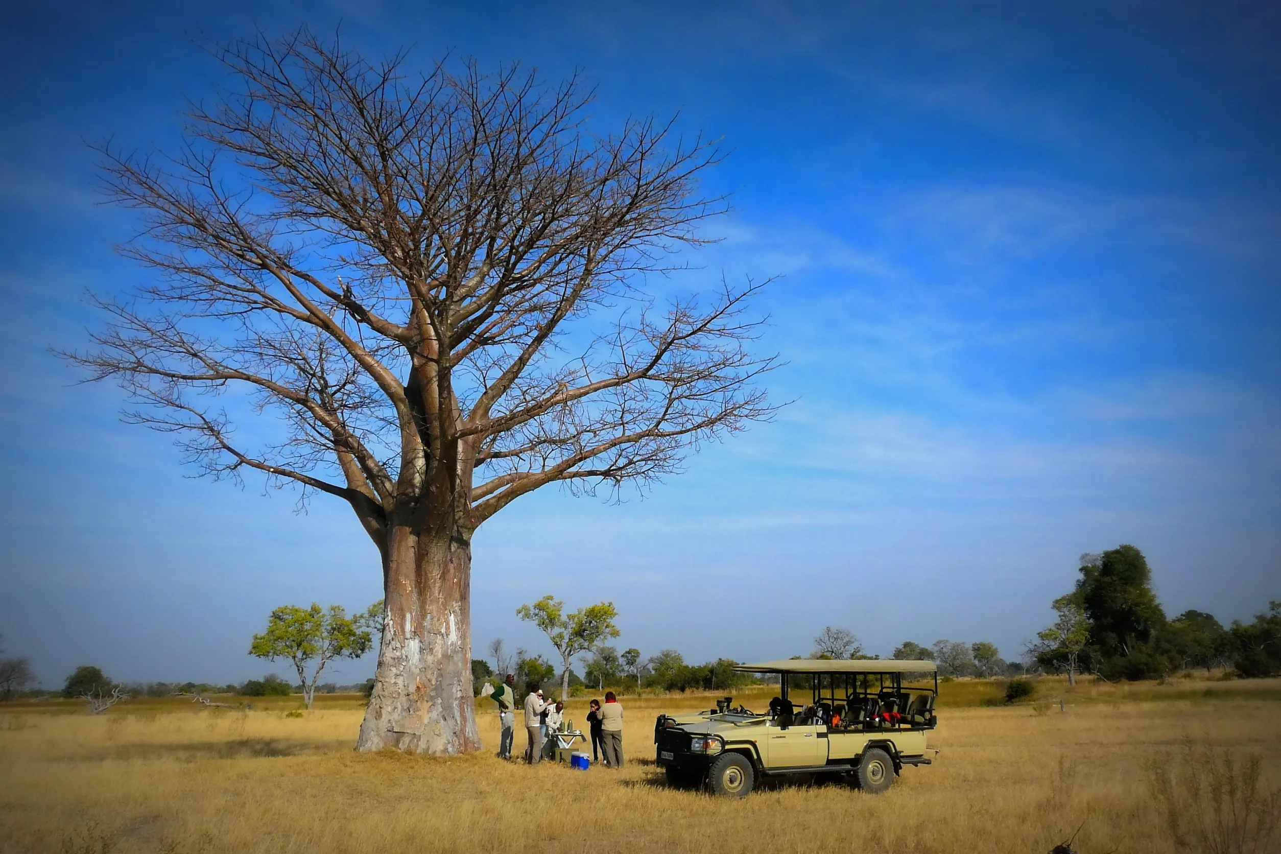 group of adventurers resting a while under an amazing baobab tree after a longe