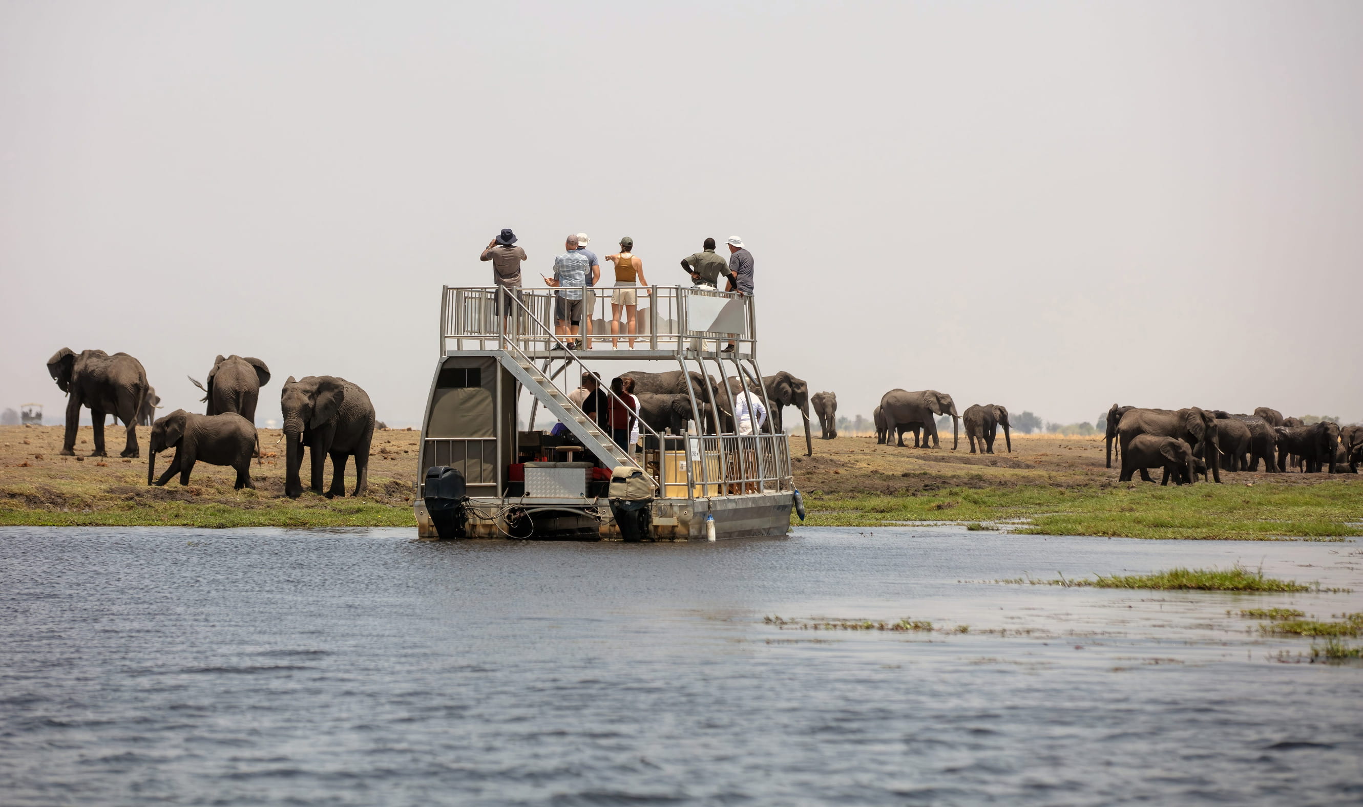 Photographers on a boat taking pictures of elephants in Botswana