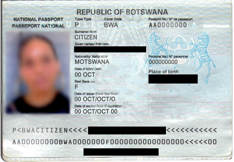 Sample Of Passport Bio Page