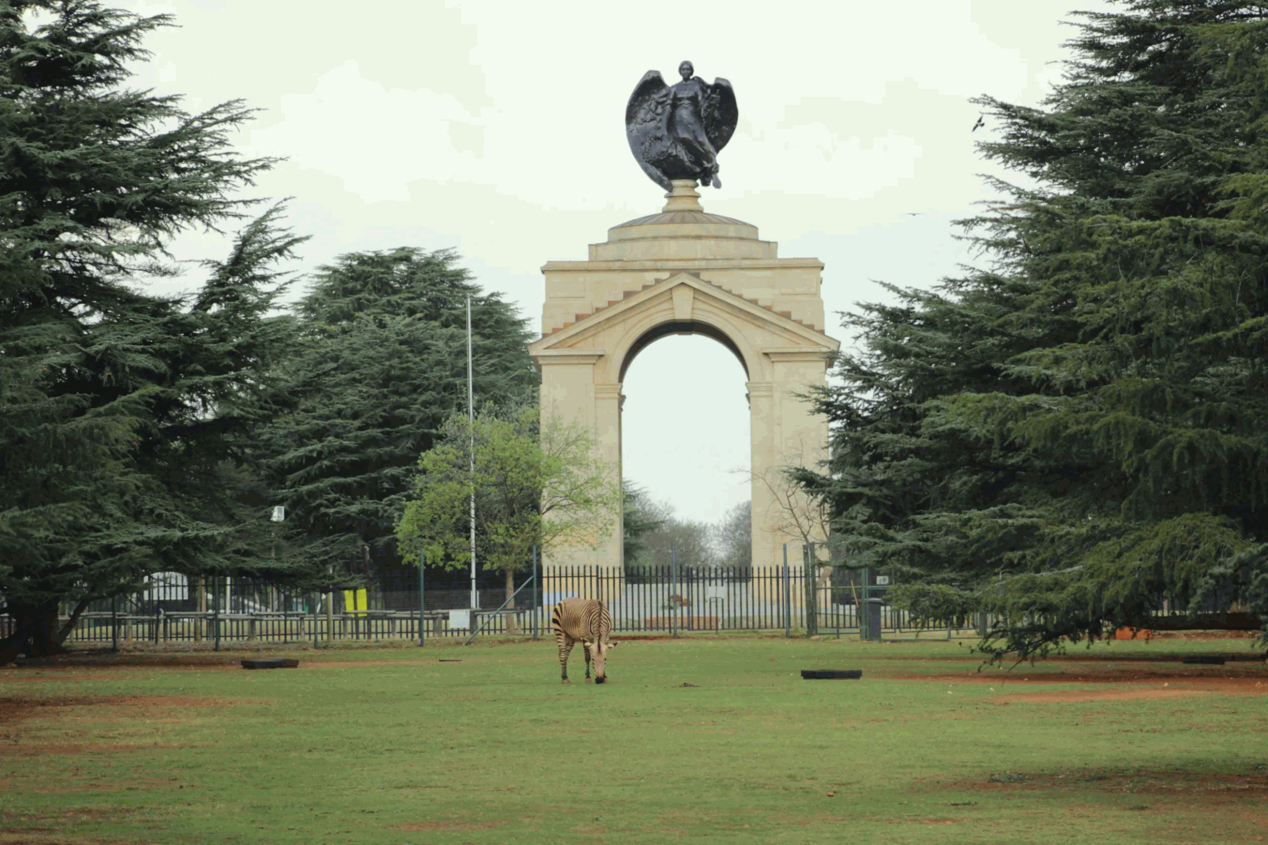statue of an angel next to the johannesburg zoo south africa