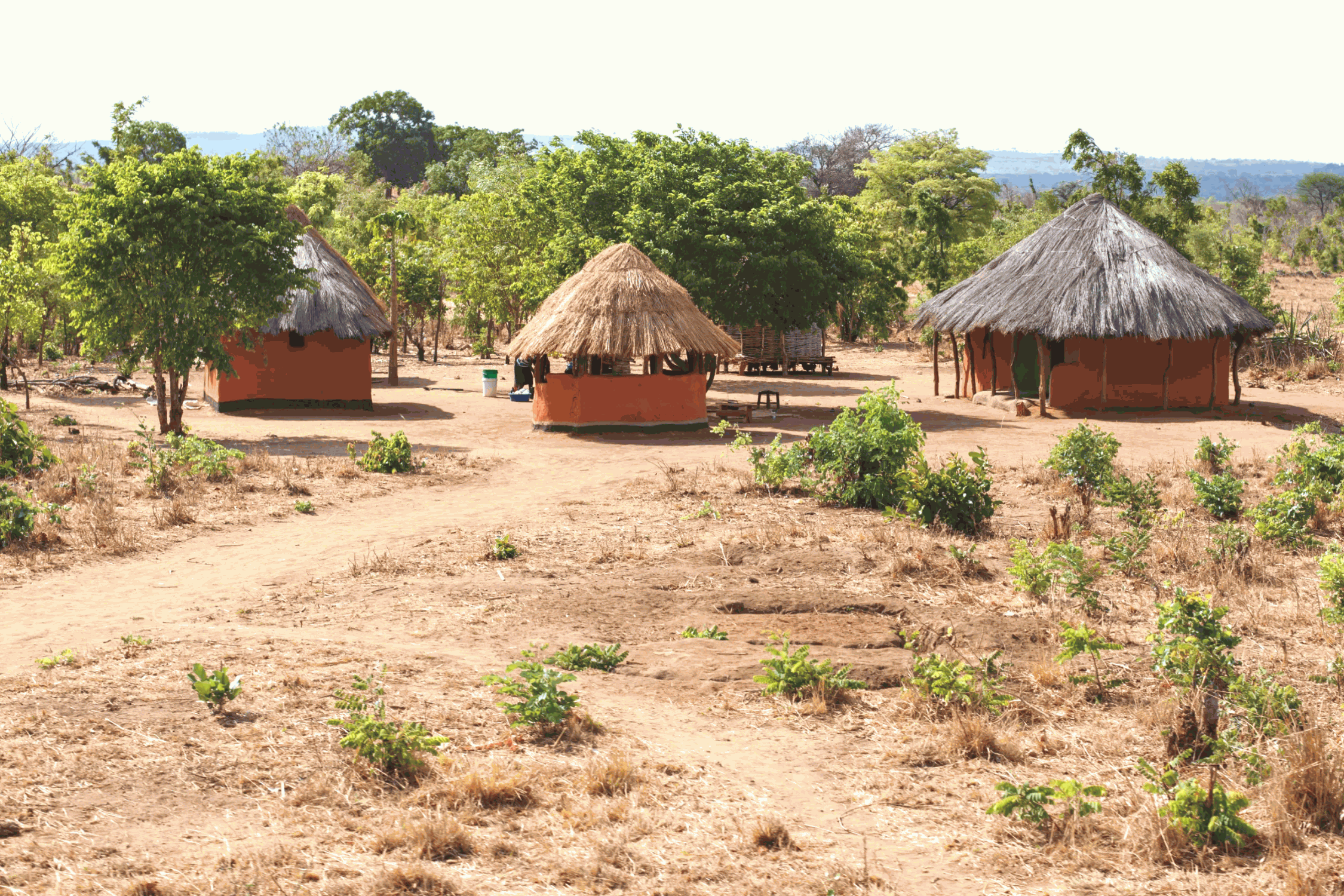 the beautiful hut building in zambia africa