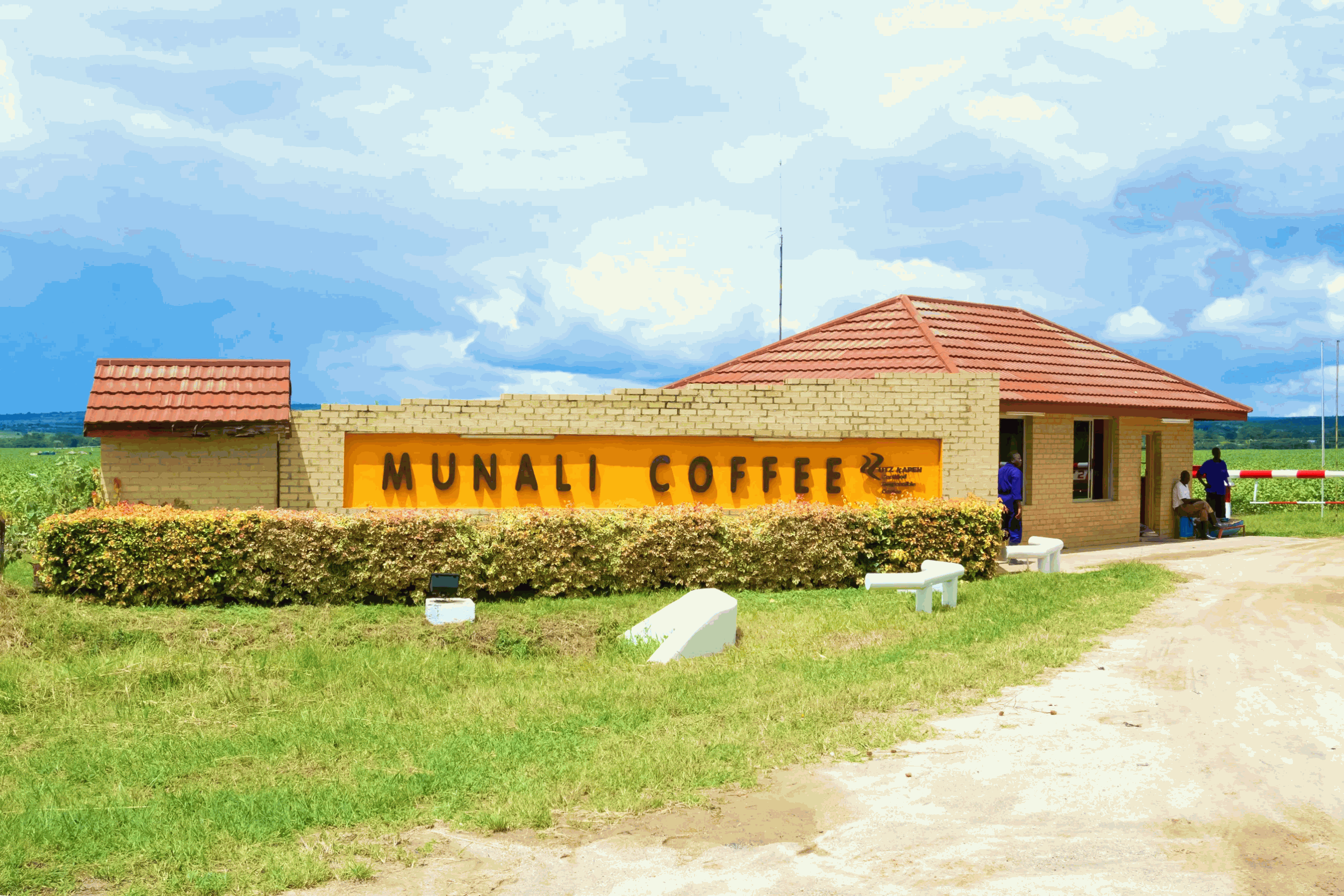the entrance to munali coffee farm in lusaka zambia