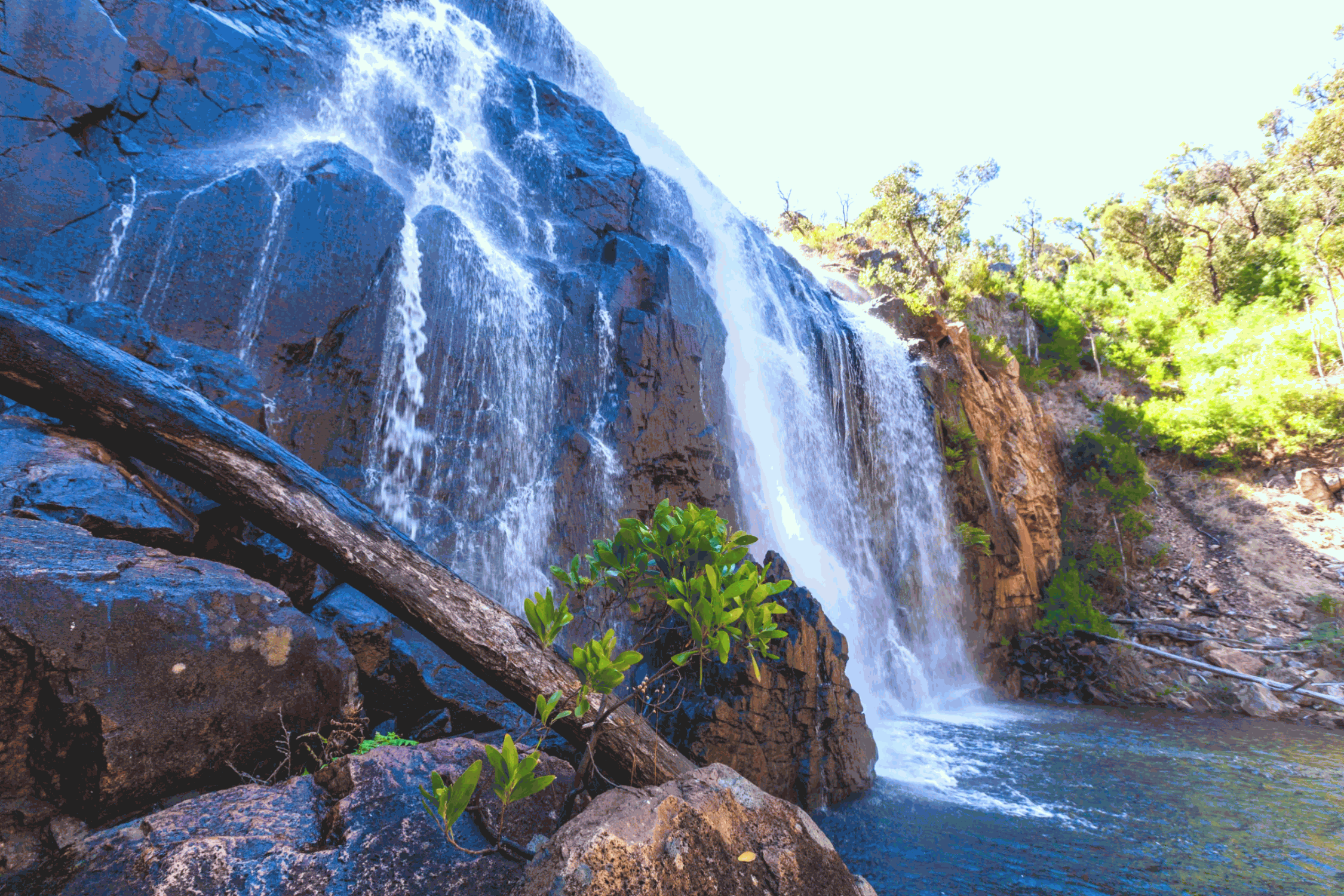 the victoria mackenzie falls in australia